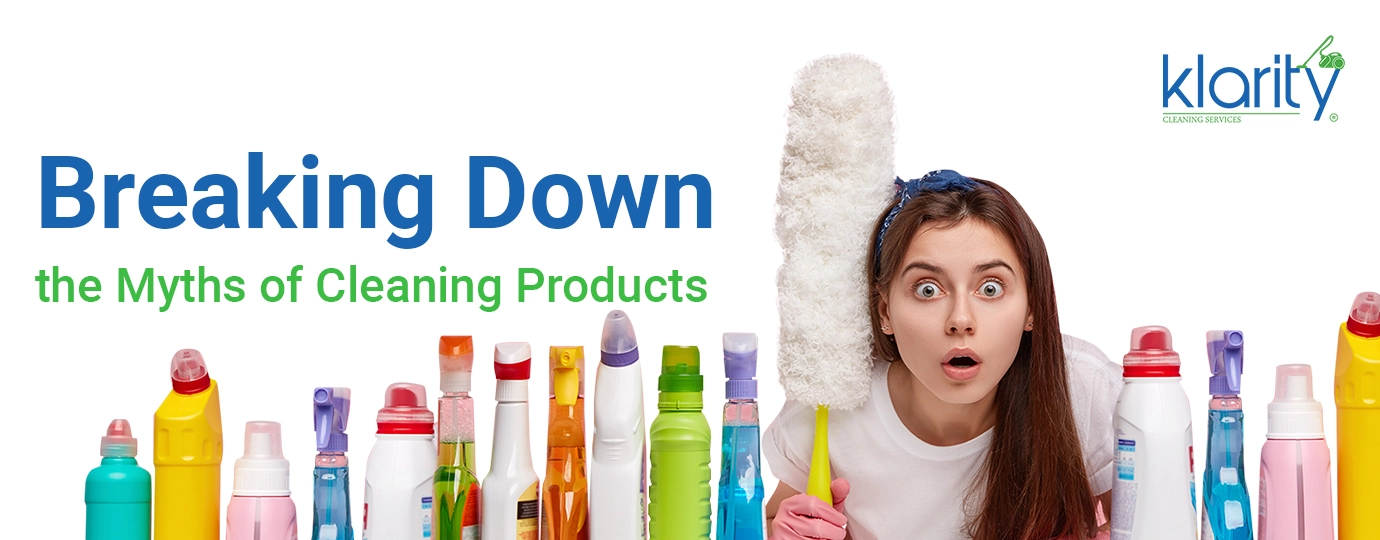 professional cleaning services in dubai
